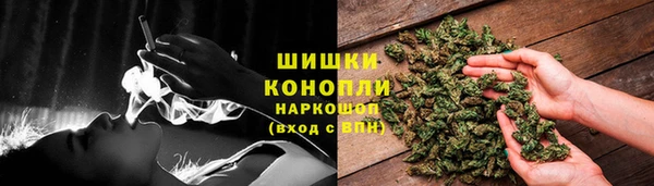 гидра Арсеньев