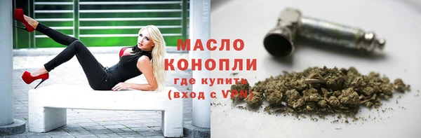 гидра Арсеньев