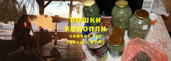 гидра Арсеньев