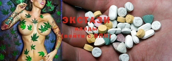гидра Арсеньев