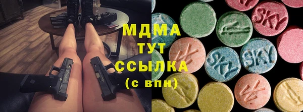 гидра Арсеньев