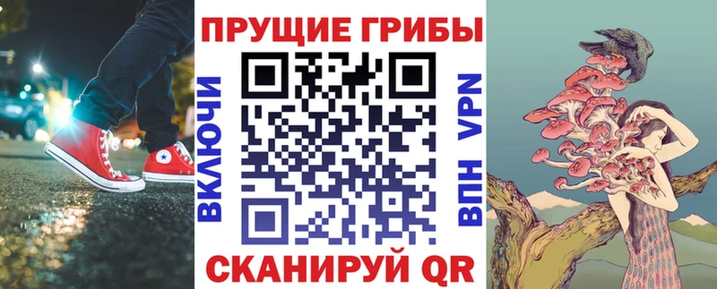 Галлюциногенные грибы мицелий  это состав  Строитель 