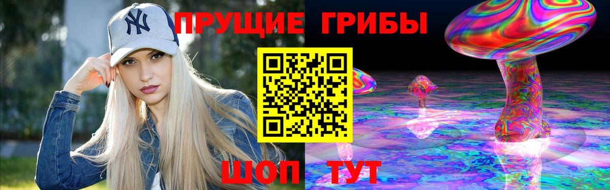 Строитель  Галлюциногенные грибы прущие грибы  Вход с VPN 